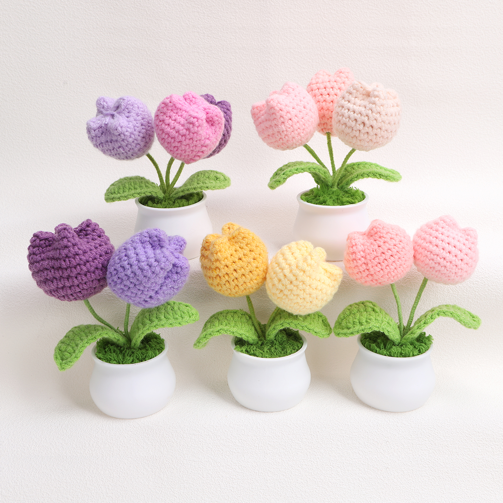 RTS-Tulip 2 & 3