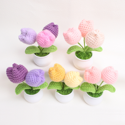 RTS-Tulip 2 & 3
