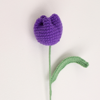 GA035381 Cute tulip bud