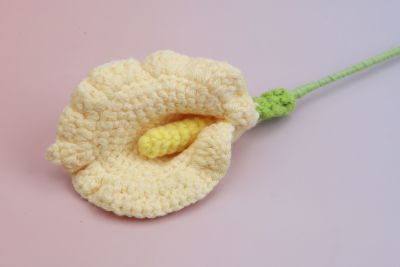 GA035700 Arum Lily