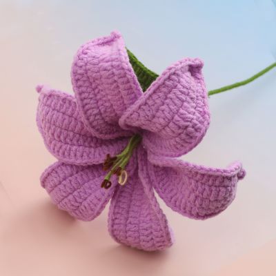 GA035751 Lily
