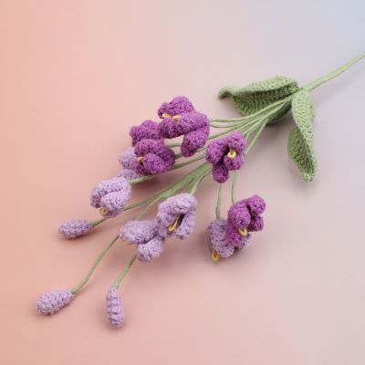 GA035881 Lilac