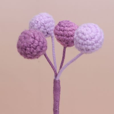 GA035790 Berry-4
