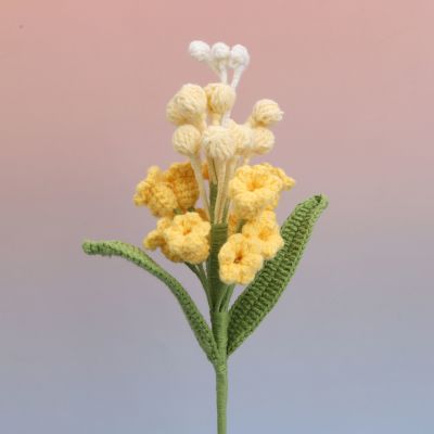 GA035891 Hyacinthus