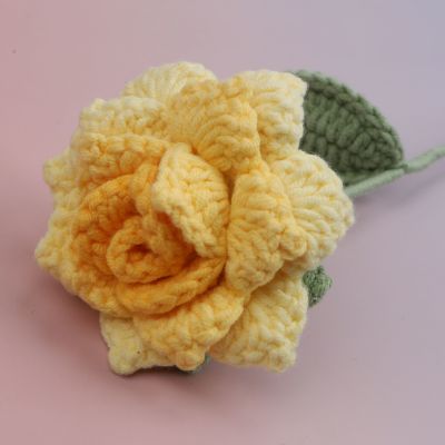 GA0352921 Colorful Rose