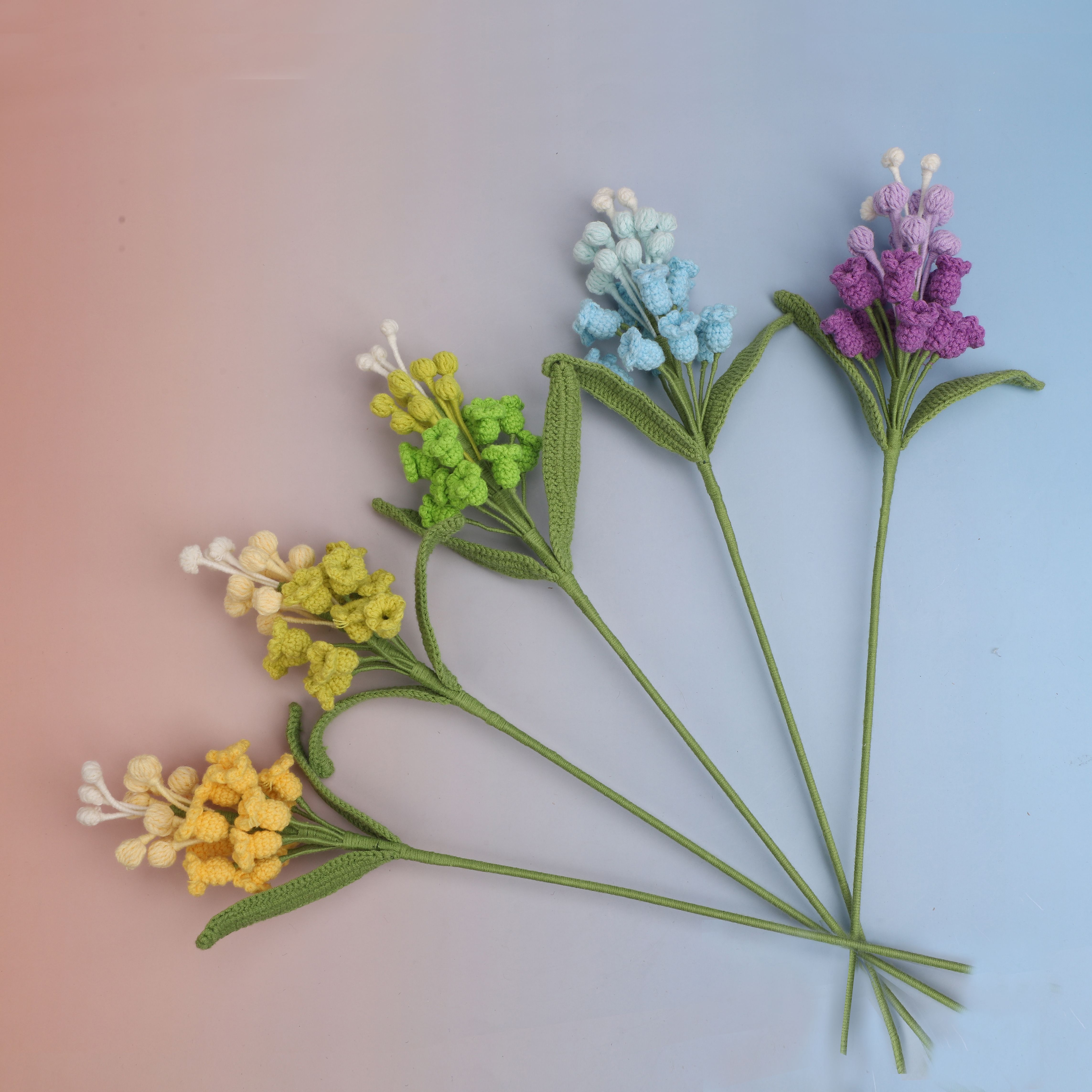 GA035891 Hyacinthus