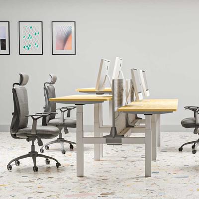 Double Standing Desk