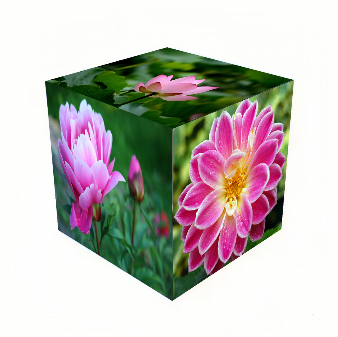 P2 Rubik's Cube Display Shaped 3D LED  6-Sided Indoor and Outdoor Shop Signs for Advertising