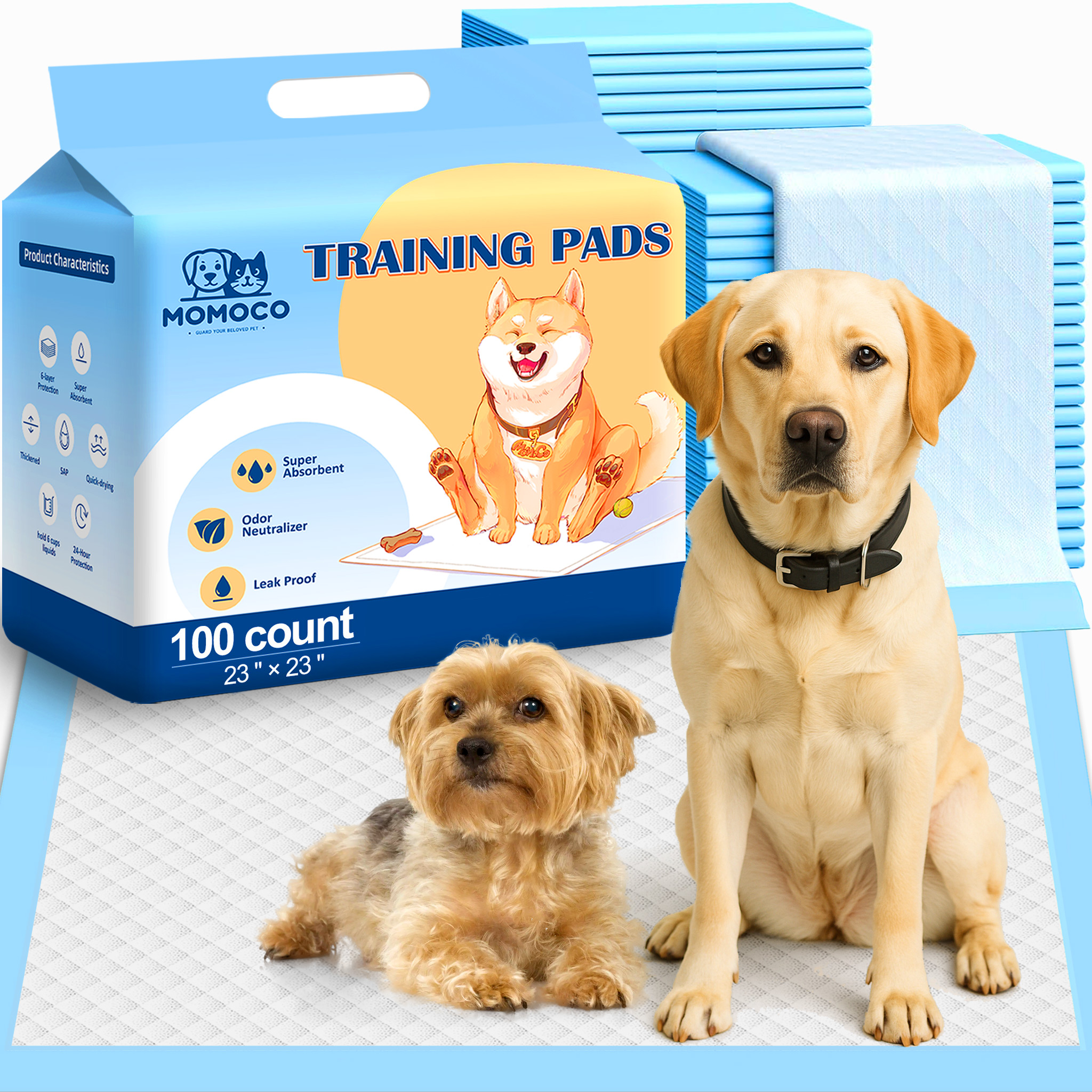 100 PACK - Blue