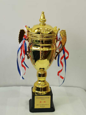 Gold Award 2025