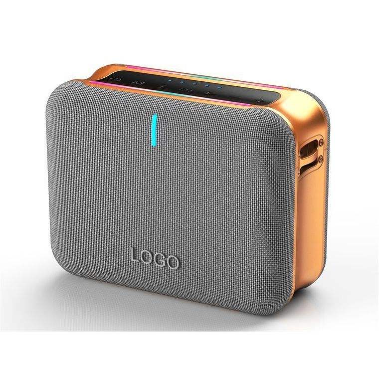 Factory New Model Outdoor Speaker Party Box with Microphones Audio Portable Karaoke BT Wireless Speaker