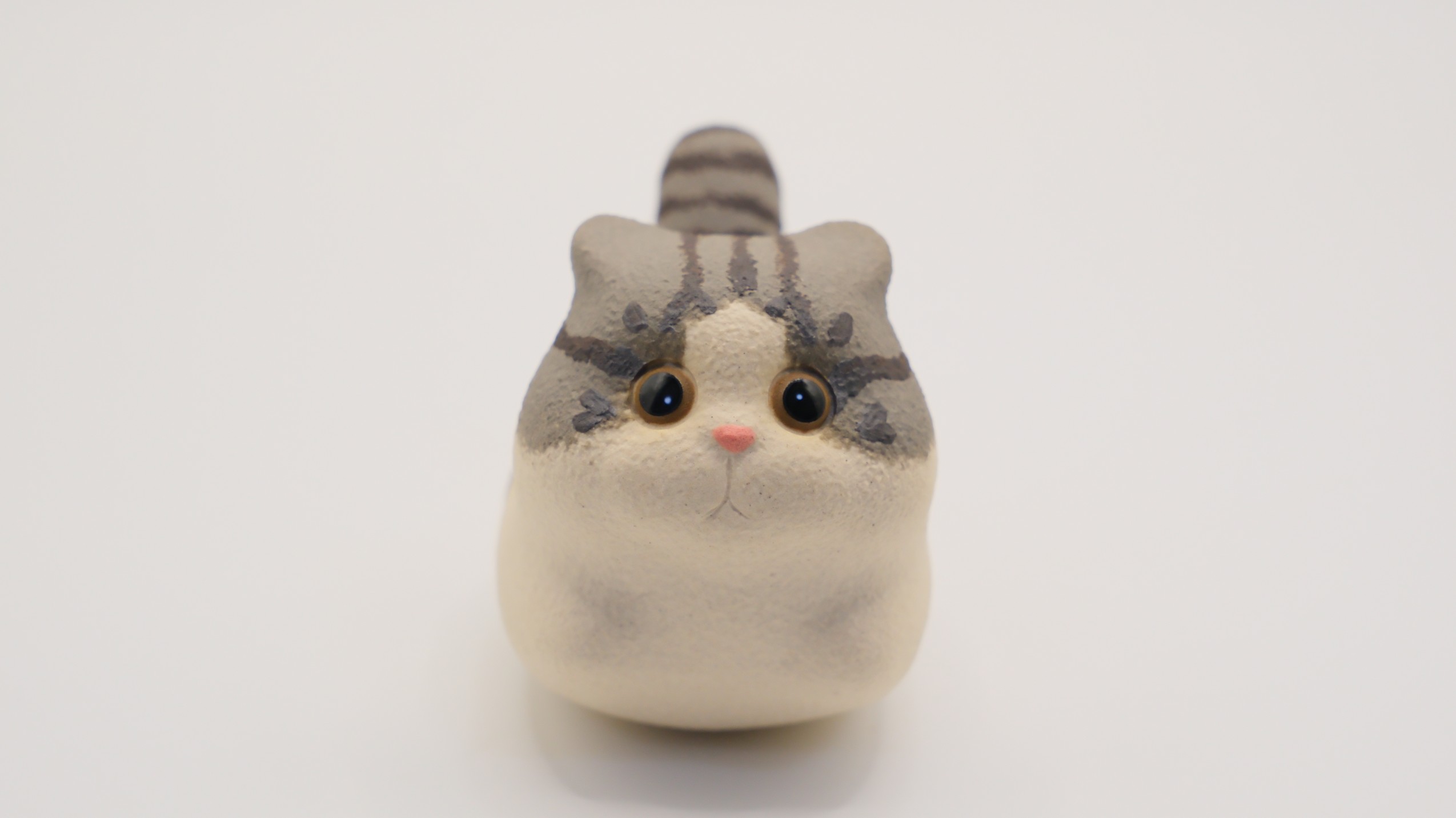 アメリカンショートヘア