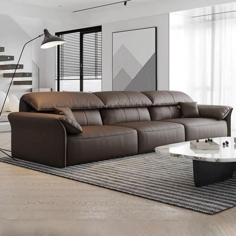 Electric function Sofa