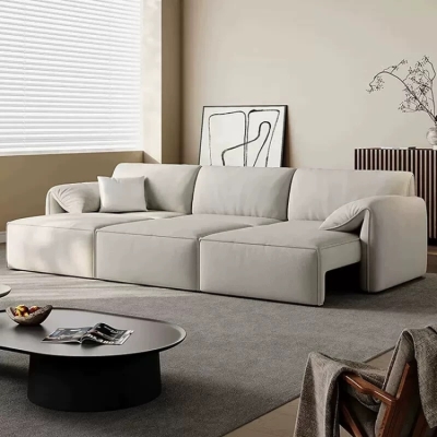 Electric function sofa