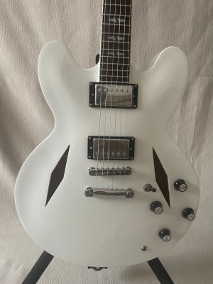Metal Semi-Hollow Jazz Electric Guitar, DG335, White
