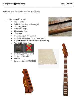 Tele neck with reverse headstock，Serial number: 02605175050