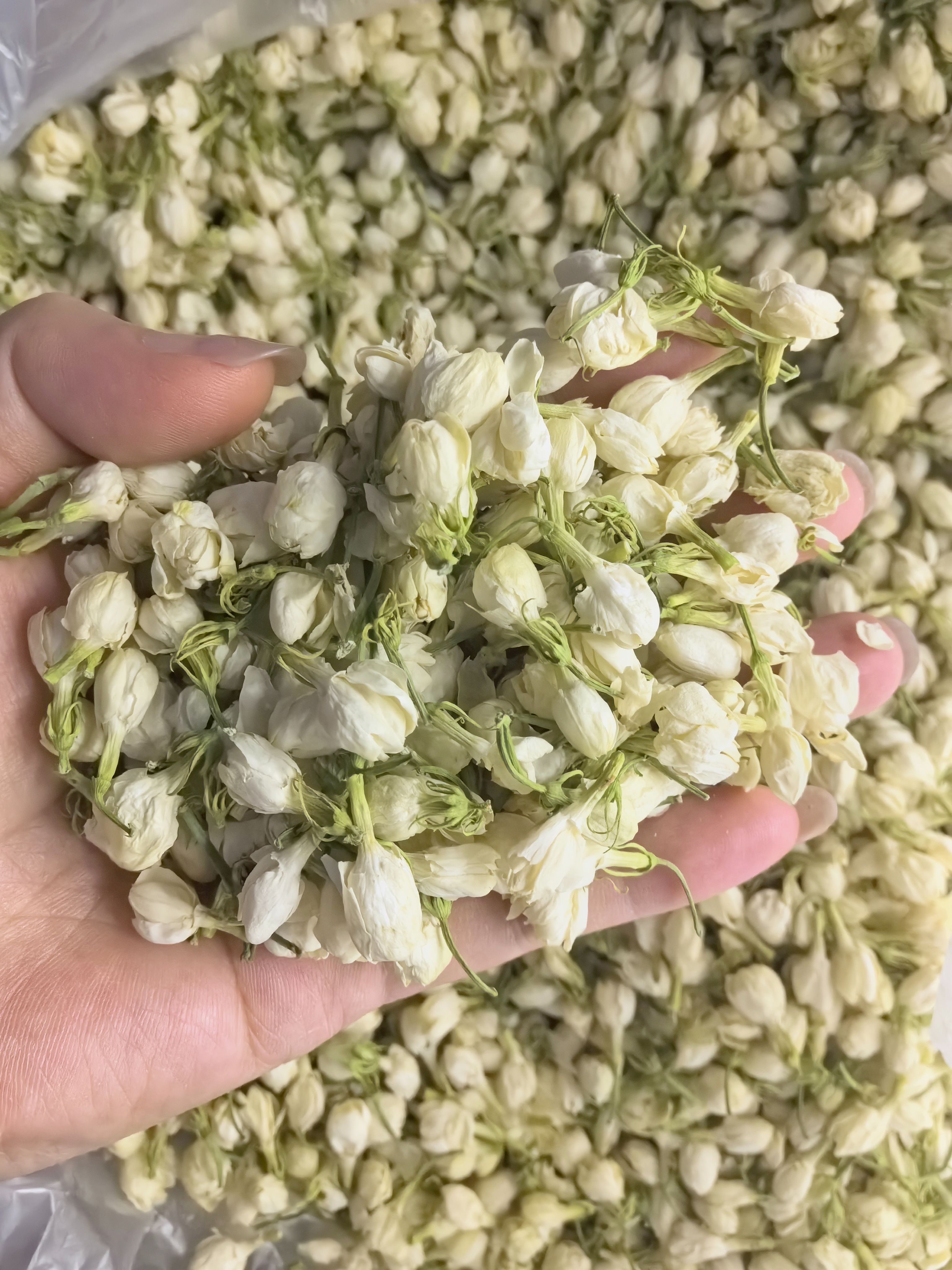 High Quality 100% Natural Real Flower  Dried Jasmine Petals Dry Jasmine For Tea Or  Wedding  Confetti  Decoration