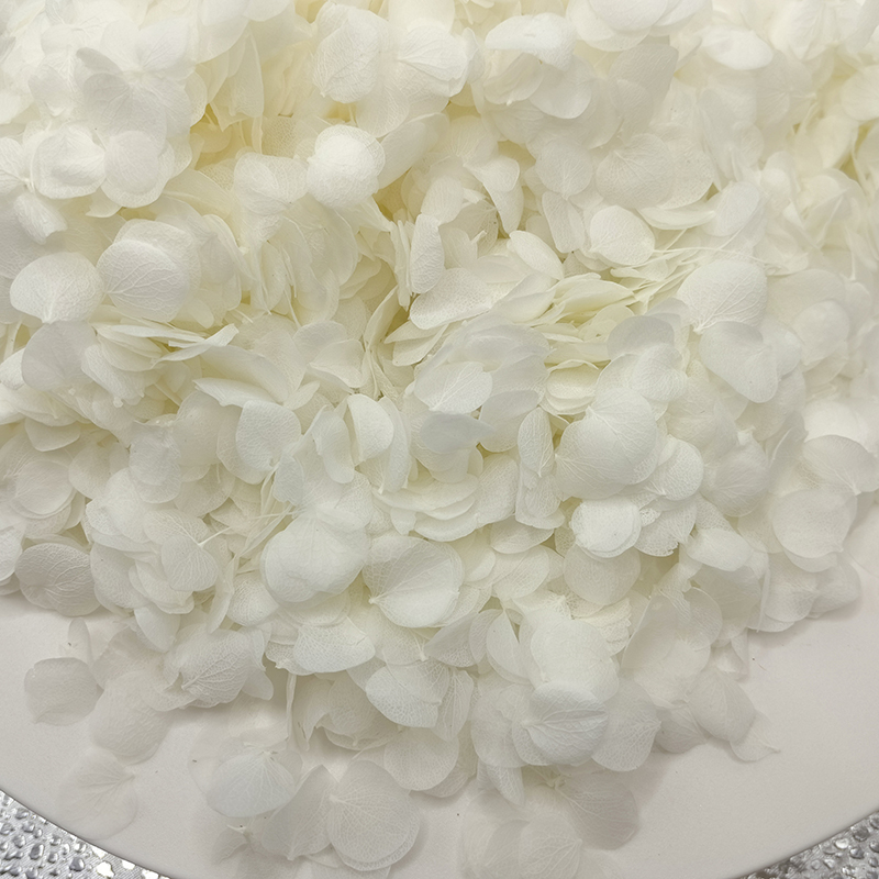 Preserved Flowers Biodegradable Organic Natural Dry Hydrangea Petals Wedding Party Christmas Holiday Valentine's Day
