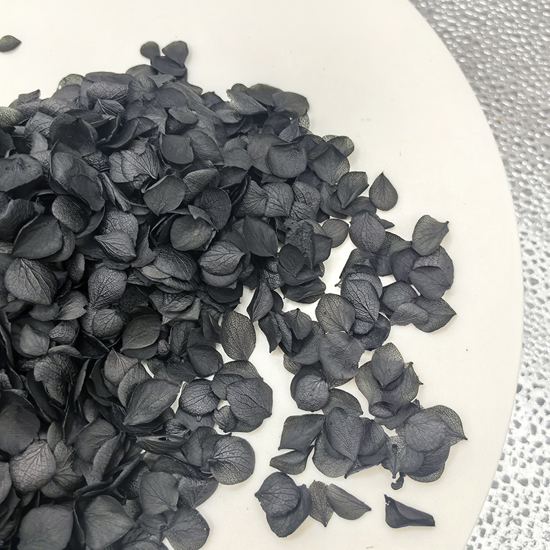 Anna Hydrangea Petals Dried Flowers  Petals Ornamental Plants Dried Preserved Flower Confetti
