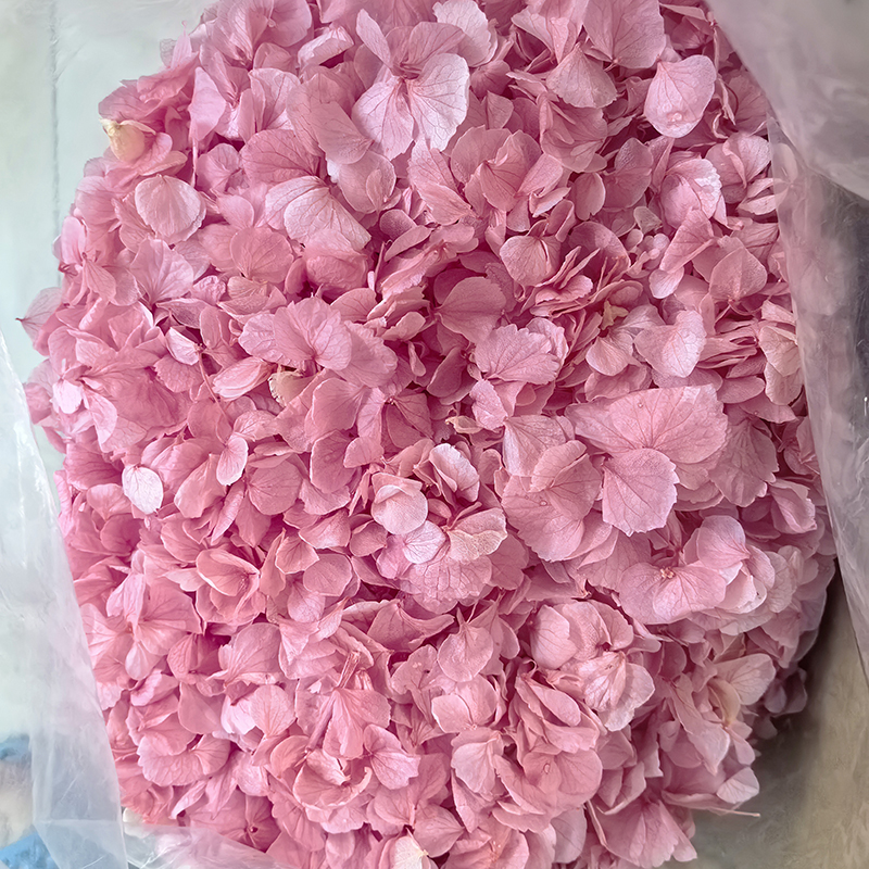 Natural Preserved Hydrangea Petals Dried White Petals Flower Confetti for Romantic Weddings