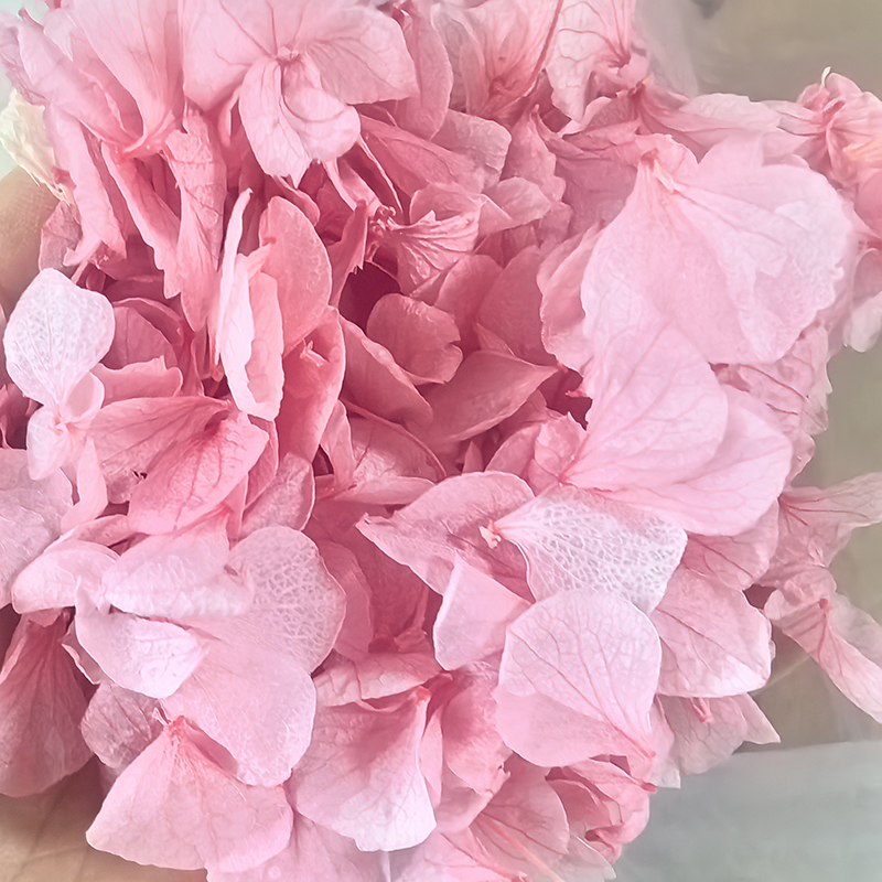 Natural Preserved Hydrangea Petals Dried White Petals Flower Confetti for Romantic Weddings
