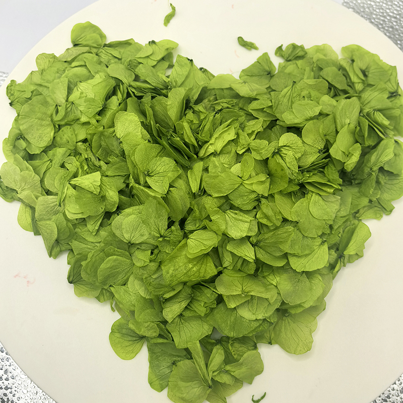 Large leaf green