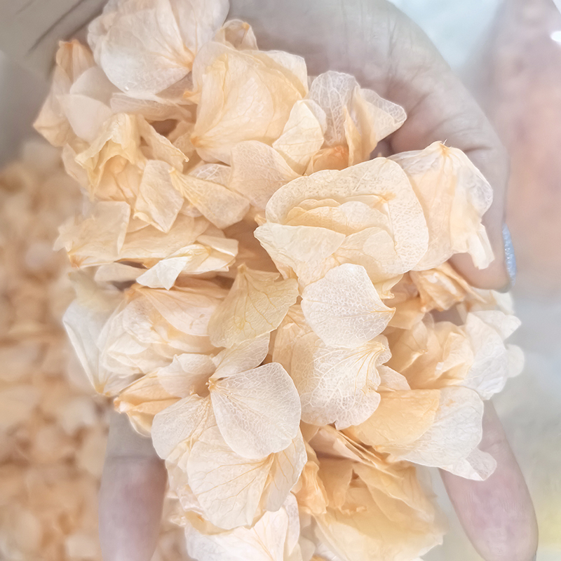 Big leaf peach color