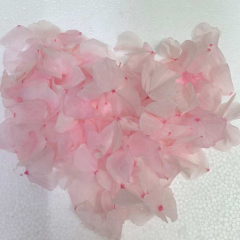 Large leaf embroidered ball light pink
