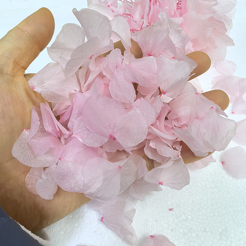 Large leaf embroidered ball light pink