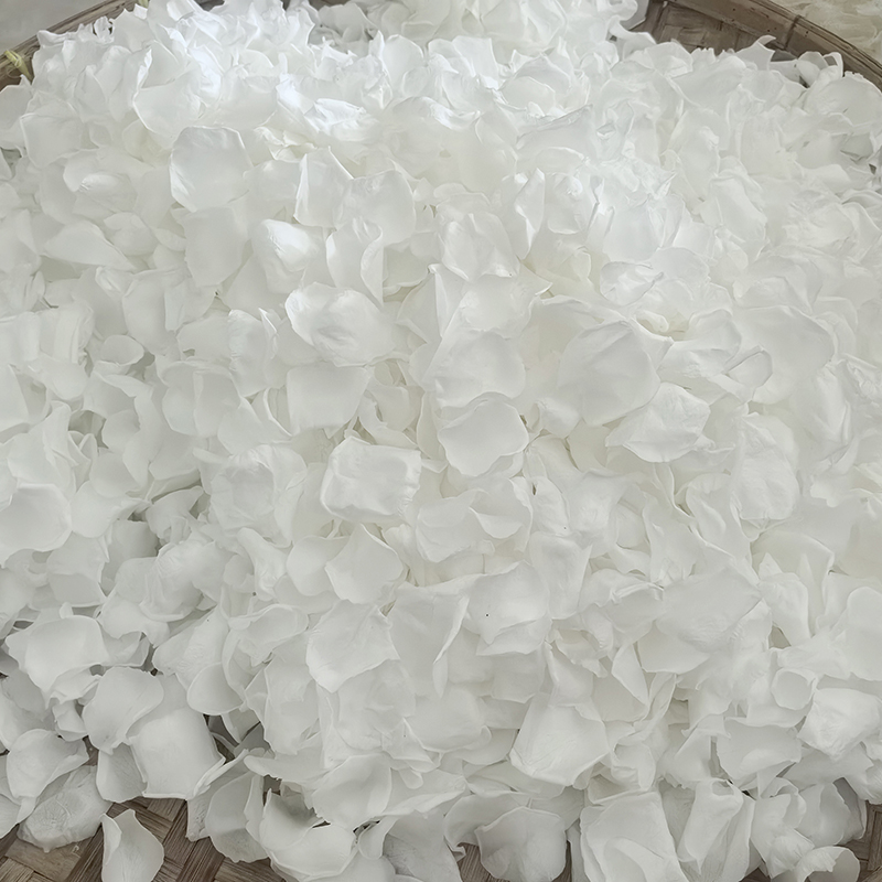 Rose White