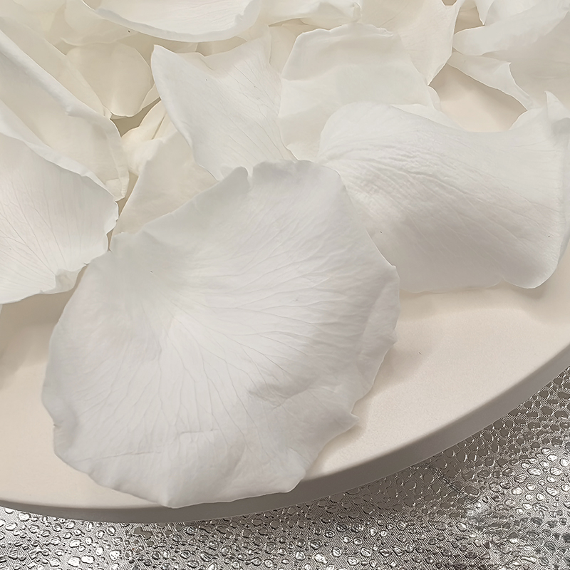 Rose White