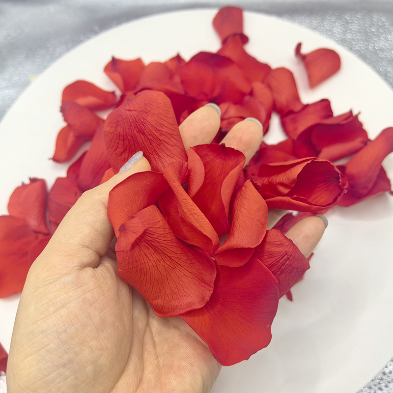 Rose red Real Touch Rose Petal Dried Flower  Petal Preserved Natural Confetti for Wedding Decor