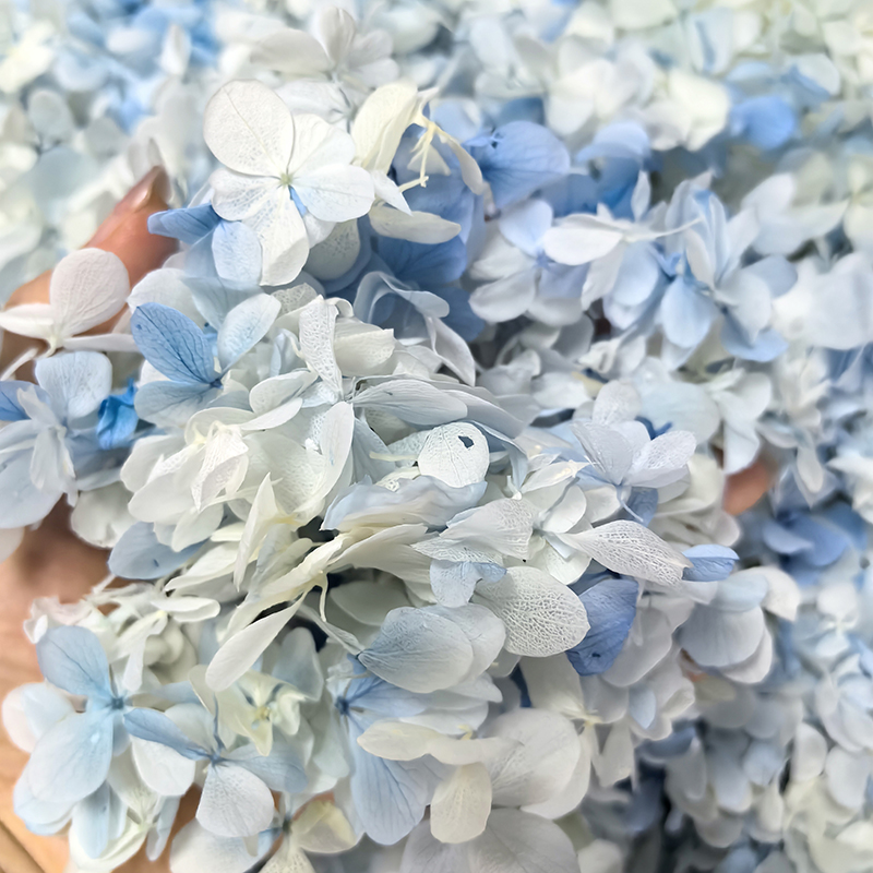 Art Blue White