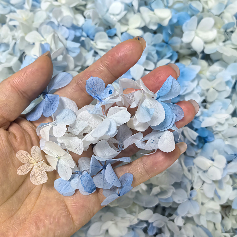 Art Blue White