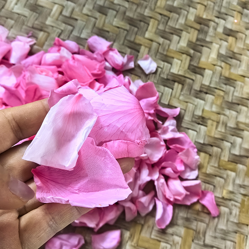 Wholesale High Quality Biodegradable Natural Wedding Confetti Dried Flowers Dry Rose Petals Wedding Aisle Sides Decor Flower