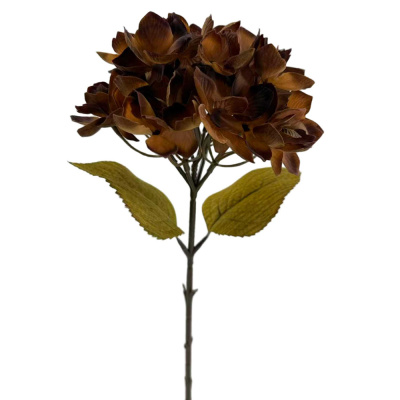 128226112-Brown Mix Hydrangea Stem