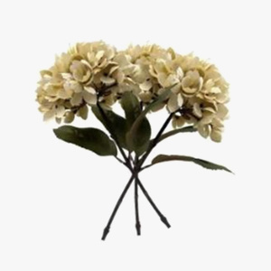 Décor