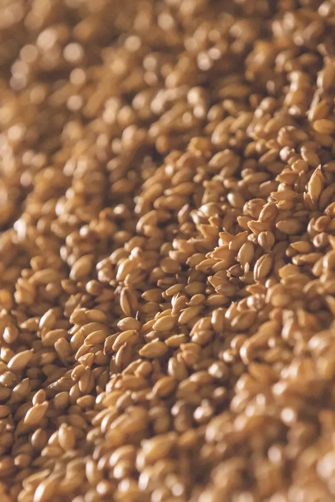Malt Selenium